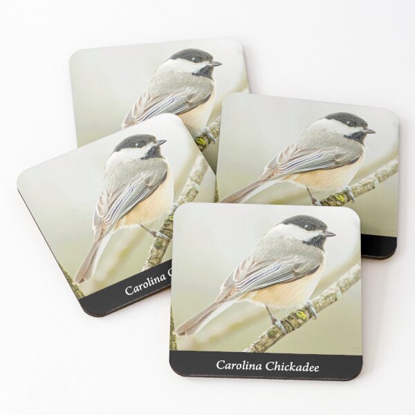 Item preview, Carolina Chickadee designed and sold by AMacGPhilly.