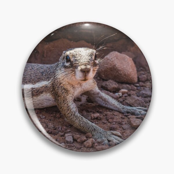 Item preview, Namibian ground squirrel posing designed and sold by Lyl Dil Creations.