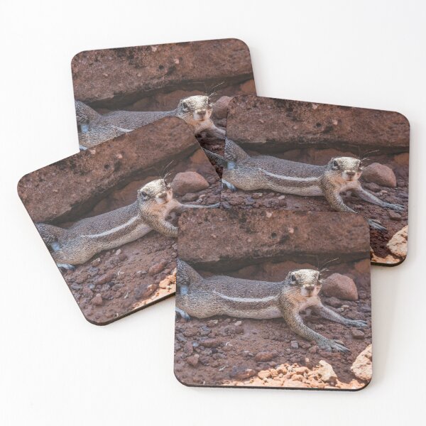 Item preview, Namibian ground squirrel posing designed and sold by Lyl Dil Creations.