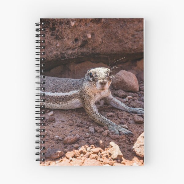 Item preview, Namibian ground squirrel posing designed and sold by Lyl Dil Creations.