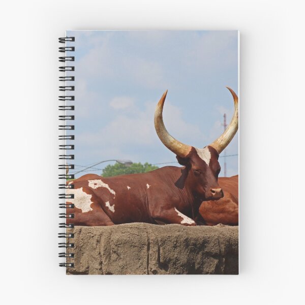 Item preview, Watusi- Ankole Cattle I designed and sold by Michiale.