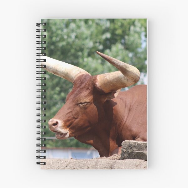 Item preview, Watusi-Ankole Cattle II designed and sold by Michiale.