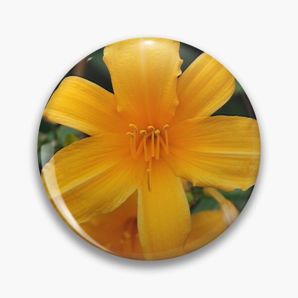 Item preview, Lily designed and sold by John Schneider.