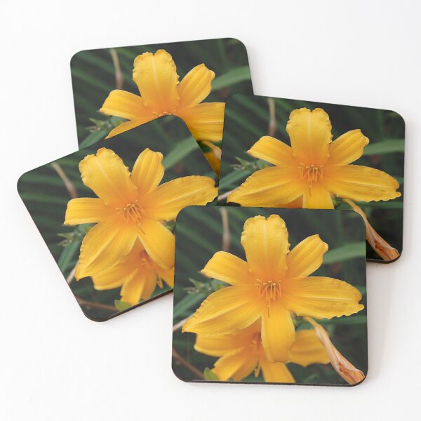 Item preview, Lily designed and sold by John Schneider.