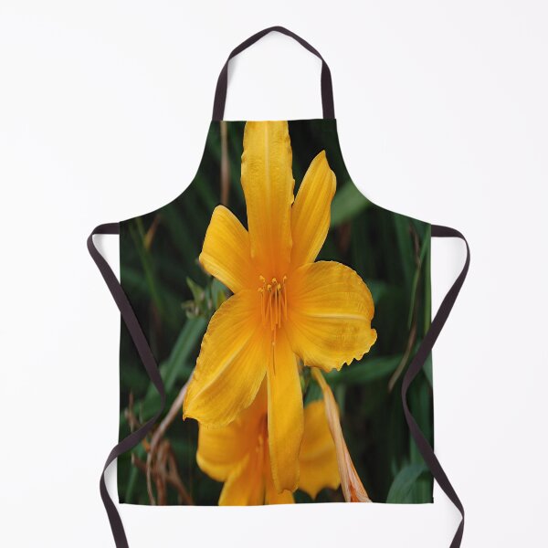 Item preview, Lily designed and sold by John Schneider.
