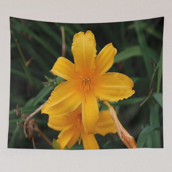 Item preview, Lily designed and sold by John Schneider.