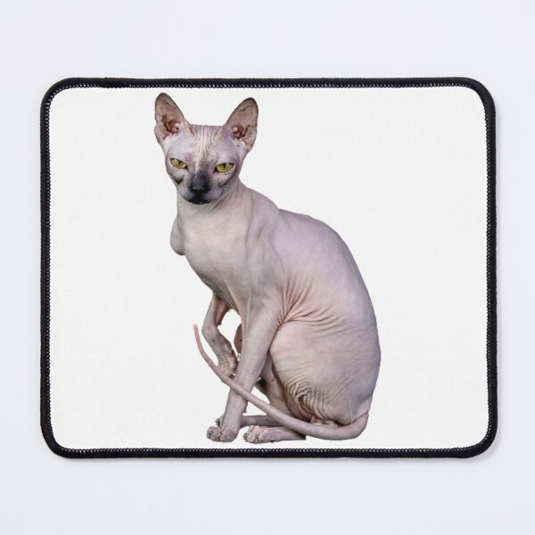 Item preview, Naked cat Sphynx cats designed and sold by TravelTemple.