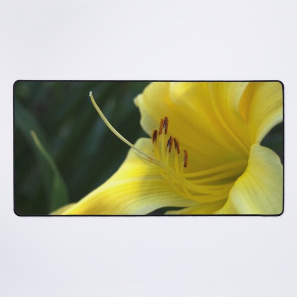 Item preview, Yellow Daylily from A Gardener's Notebook designed and sold by Douglas E. Welch Design and Photography.