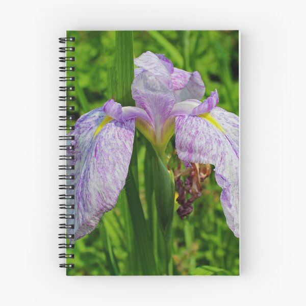 Item preview, Honestly Simple designed and sold by Michiale.