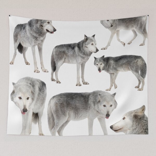 Item preview, Grey Wolf designed and sold by AnimalLover4eva.