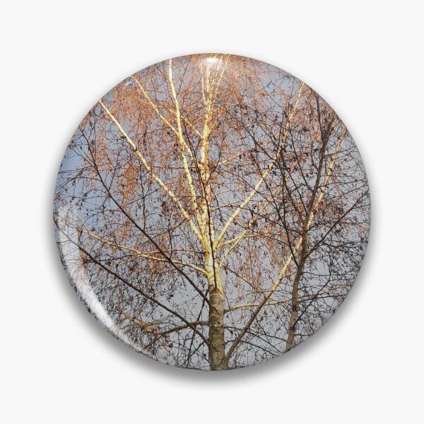 Item preview, Winter Birch designed and sold by amanda150771.