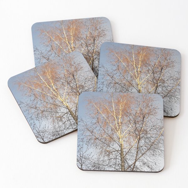 Item preview, Winter Birch designed and sold by amanda150771.