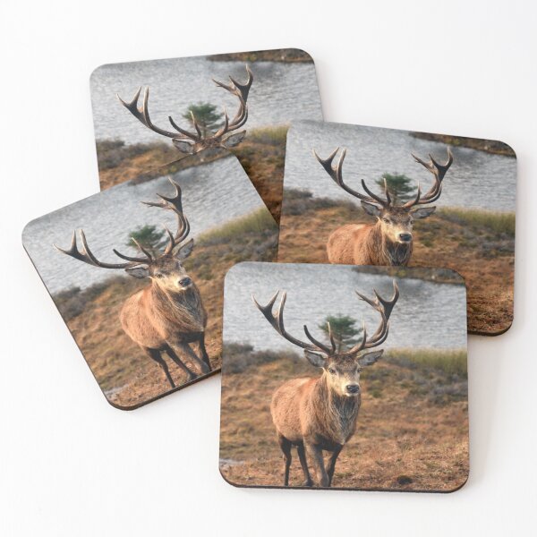 Item preview, Stag designed and sold by RONALD MACKENZIE.