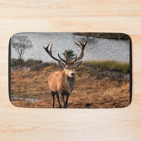 Item preview, Stag designed and sold by RONALD MACKENZIE.