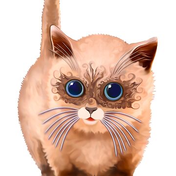 Siberian Cat /Neva Masquerade kitten