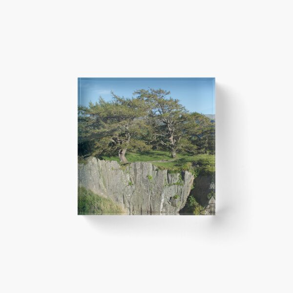 Item preview, Mountain Top Crag With Trees designed and sold by thelemmingface.