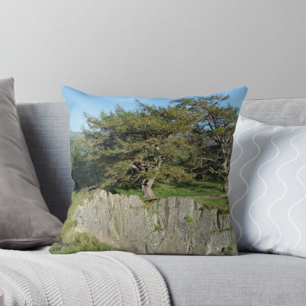 Item preview, Mountain Top Crag With Trees designed and sold by thelemmingface.