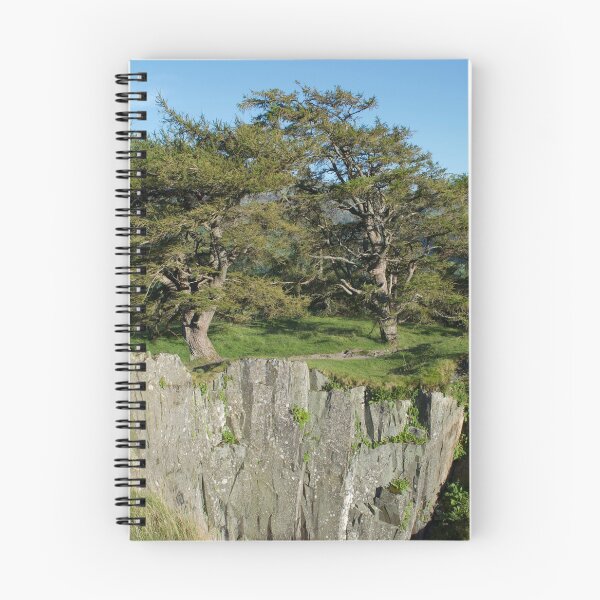 Item preview, Mountain Top Crag With Trees designed and sold by thelemmingface.