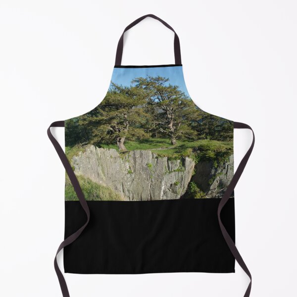 Item preview, Mountain Top Crag With Trees designed and sold by thelemmingface.