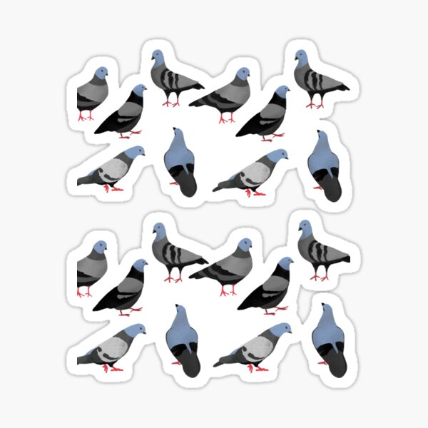 Funky Little Pigeon Sticker for Sale by sillysellsstuff