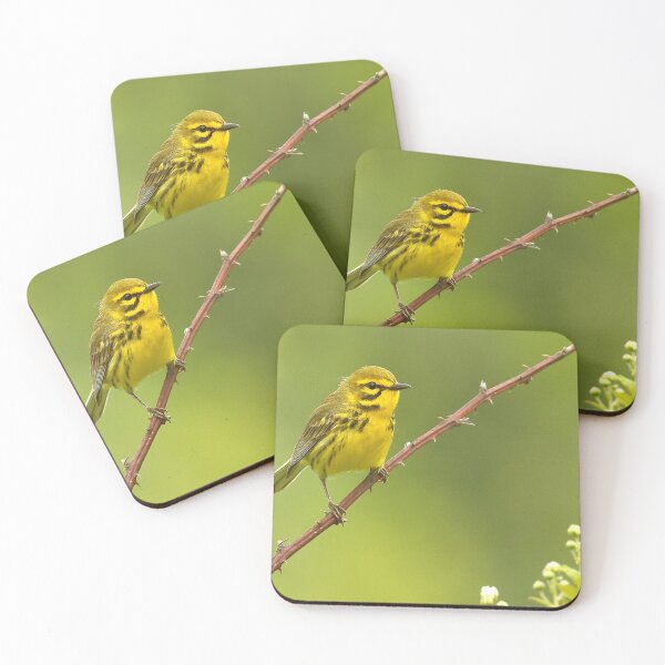 Item preview, Prairie Warbler designed and sold by adjohnson.