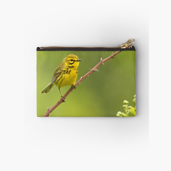 Item preview, Prairie Warbler designed and sold by adjohnson.