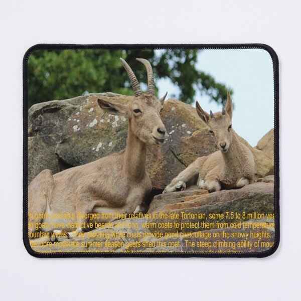 Item preview, Mountain Goat Art designed and sold by Alicefish.
