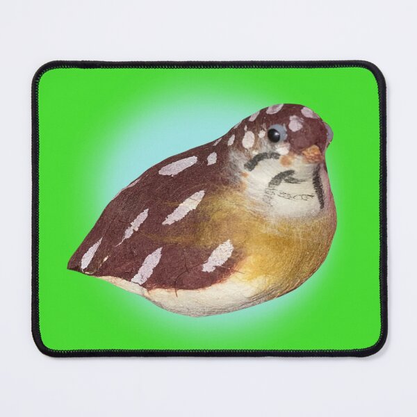 Item preview, funky antique bird designed and sold by katherinedraws.