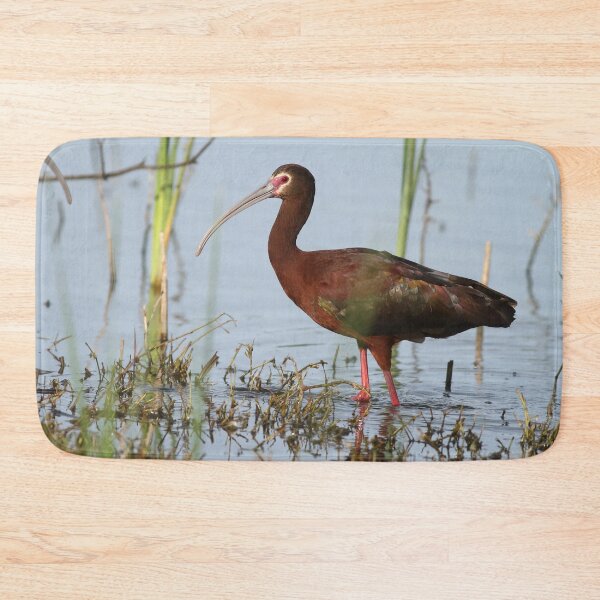 Item preview, White-faced Ibis designed and sold by adjohnson.