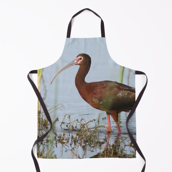 Item preview, White-faced Ibis designed and sold by adjohnson.