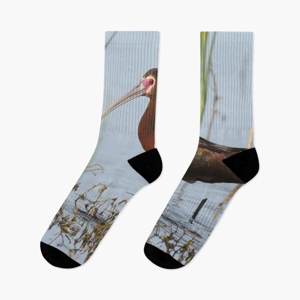 Item preview, White-faced Ibis designed and sold by adjohnson.
