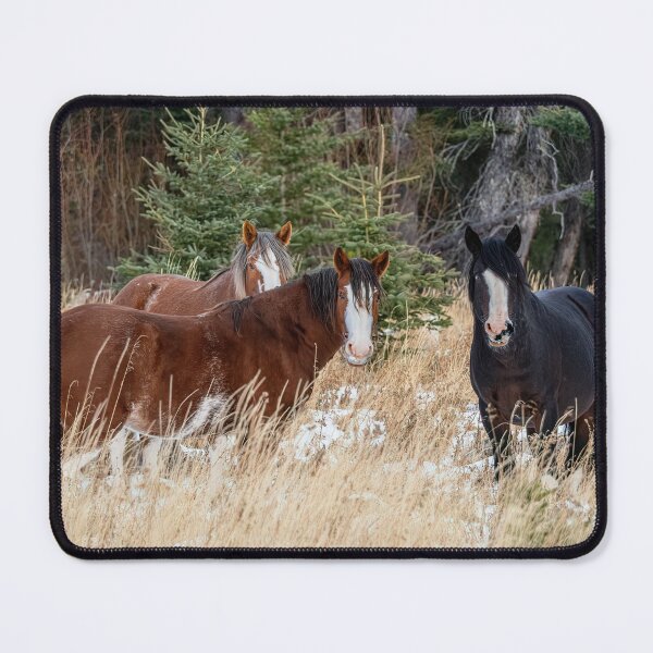 Item preview, 3 Wild Horse Power designed and sold by naturesdreams.