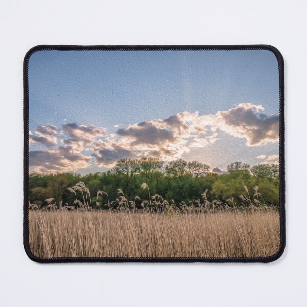 Item preview, Field of common reeds, a wall of trees and the morning sunlight - designed and sold by FelCastro.