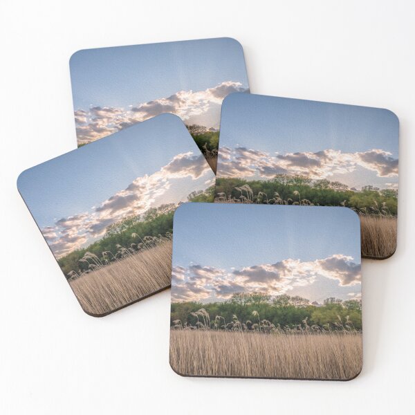 Item preview, Field of common reeds, a wall of trees and the morning sunlight - designed and sold by FelCastro.