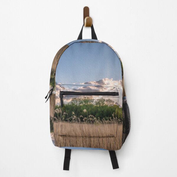 Item preview, Field of common reeds, a wall of trees and the morning sunlight - designed and sold by FelCastro.