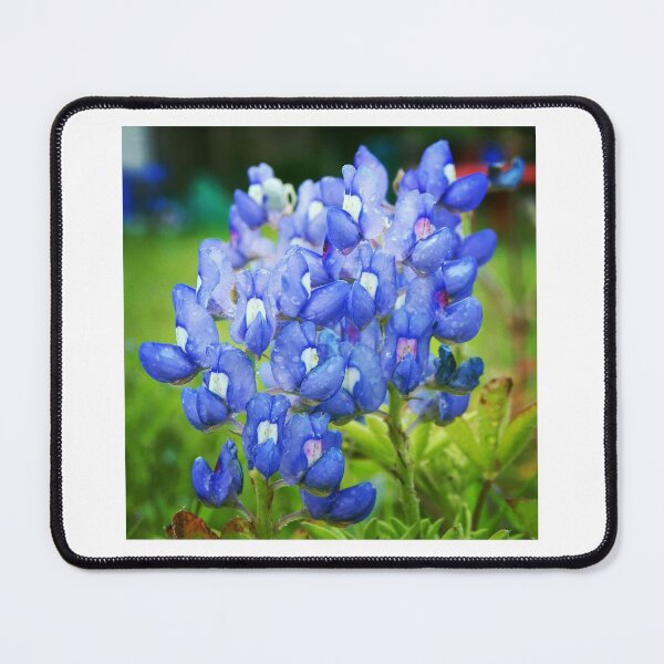 Item preview, Bluebonnets in Rain designed and sold by MaddoxWorks.