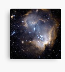 Infant Stars in Nearby galaxy Canvas Print