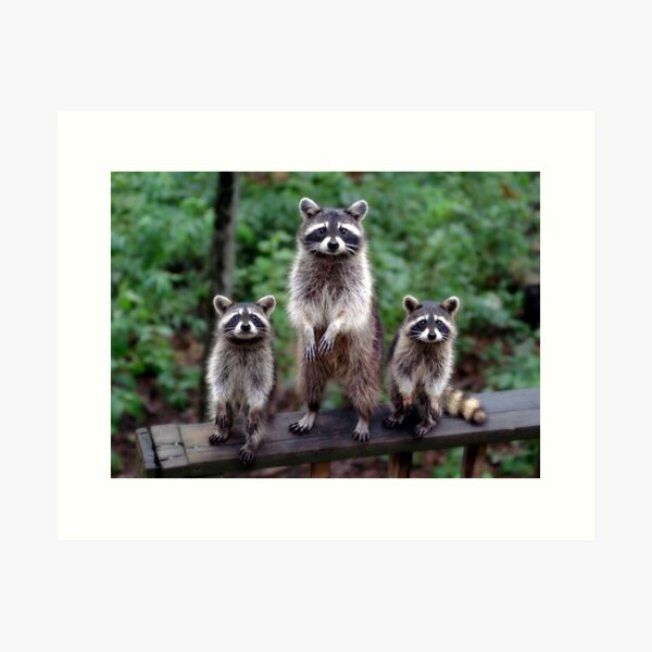 Item preview, "Family Portrait" designed and sold by Melinda Stewart Page.