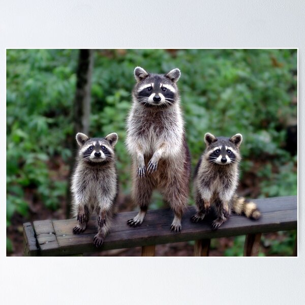 Item preview, "Family Portrait" designed and sold by Melinda Stewart Page.