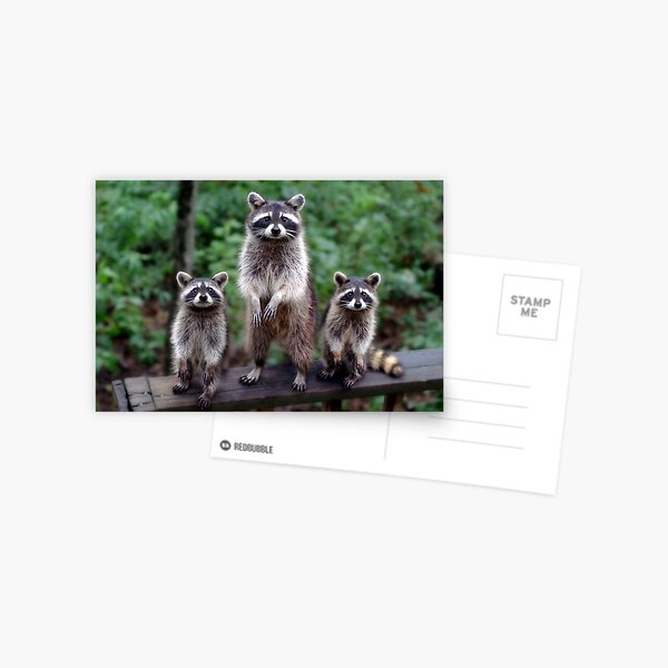 Item preview, "Family Portrait" designed and sold by Melinda Stewart Page.