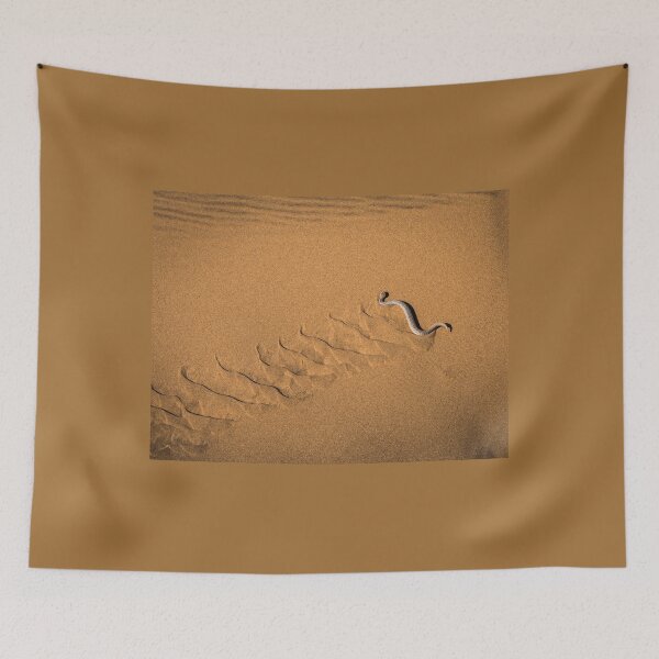 Item preview, A peringuey's adder / sidewinder, Namibia designed and sold by Lyl Dil Creations.