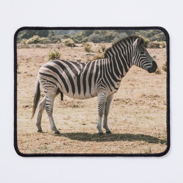 Item preview, Wild Zebra designed and sold by newburyboutique.