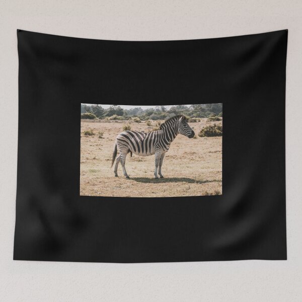 Item preview, Wild Zebra designed and sold by newburyboutique.