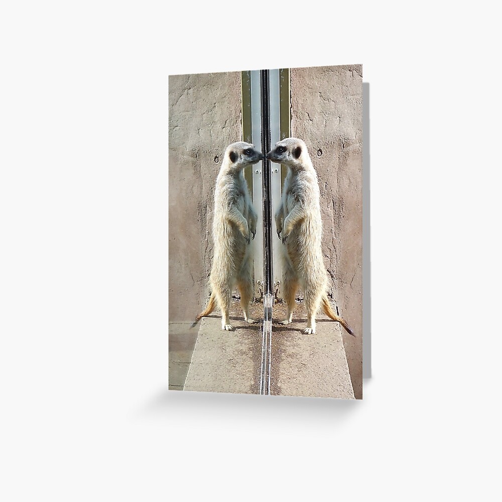meerkat magic Greeting Card