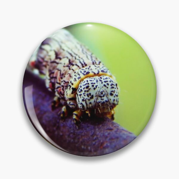 Item preview, Caterpillar in Spring designed and sold by MaddoxWorks.