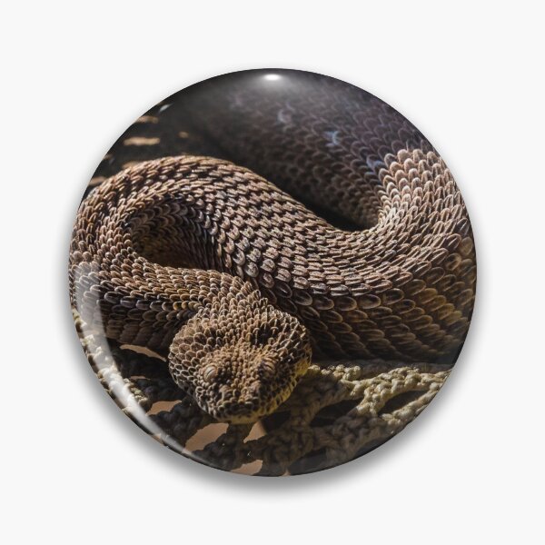 Item preview, A peringuey's adder in a hat, Namibia designed and sold by Lyl Dil Creations.