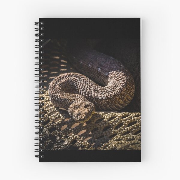 Item preview, A peringuey's adder in a hat, Namibia designed and sold by Lyl Dil Creations.