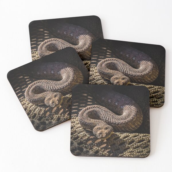 Item preview, A peringuey's adder in a hat, Namibia designed and sold by Lyl Dil Creations.