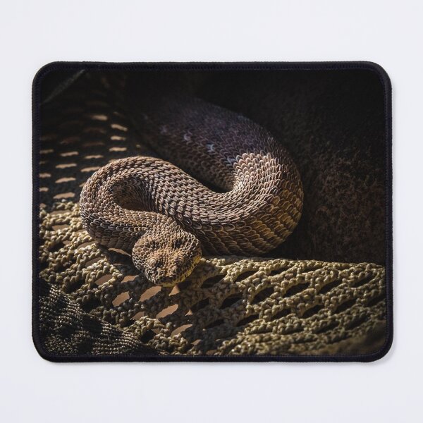Item preview, A peringuey's adder in a hat, Namibia designed and sold by Lyl Dil Creations.