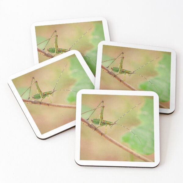 Item preview, Katydid in Spring designed and sold by MaddoxWorks.